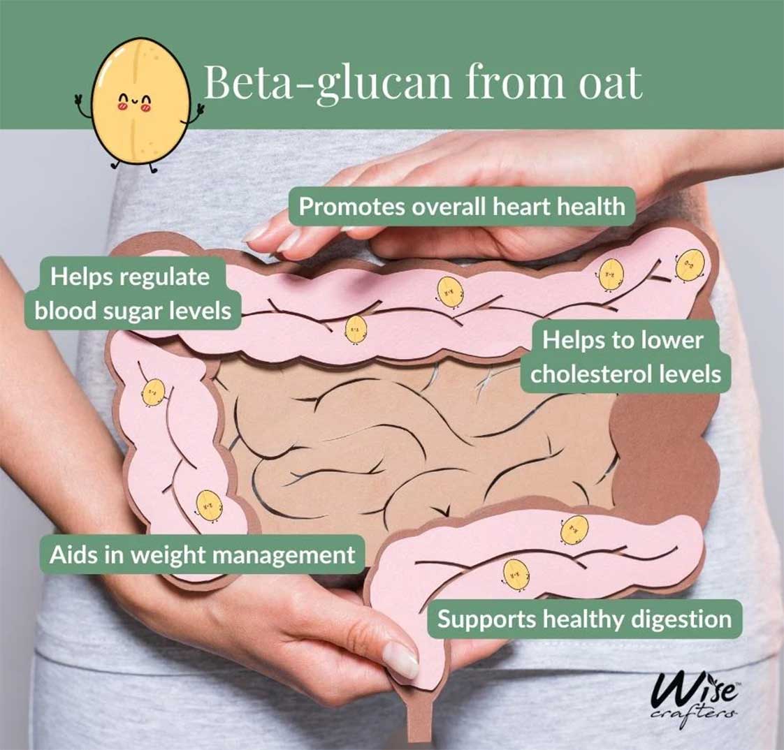 Lợi ích của yến mạch nguyên hạt đối với hệ tiêu hóa và cân nặng