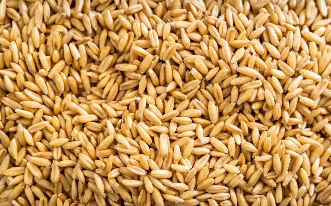 Cận cảnh hạt yến mạch nguyên chất chưa qua chế biến