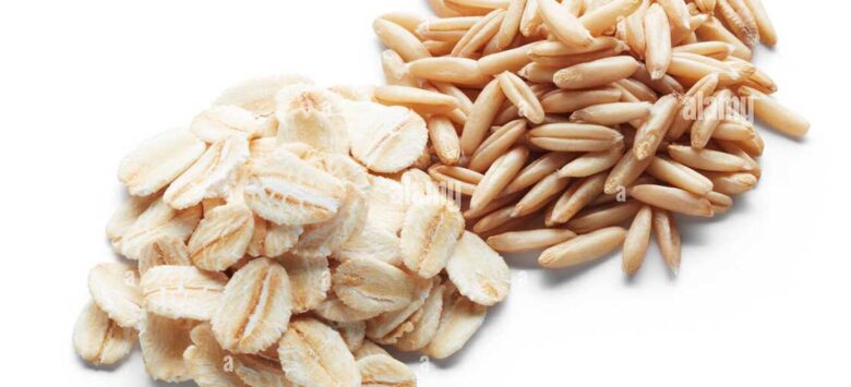 Yến Mạch Nguyên Chất Là Gì? Cách Nhận Biết Đúng Chuẩn